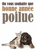 Plein de c&acirc;lins pour une ann&eacute;e 2026 douce